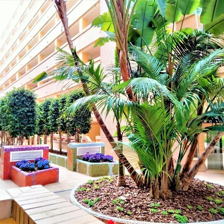 Apartment Acv - Costa Caribe Ii-2ª Linea Planta 4 Sur *
